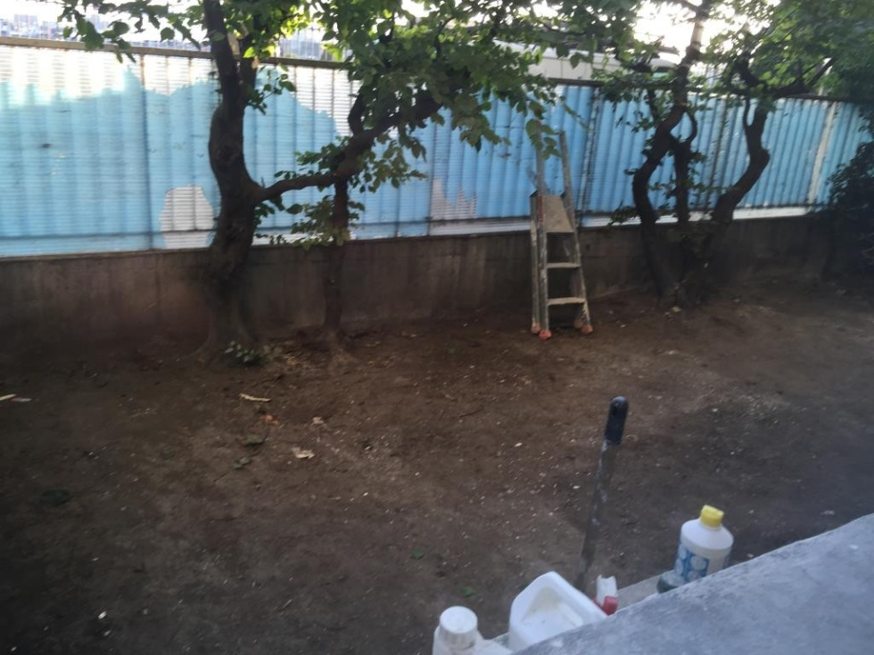 jardin